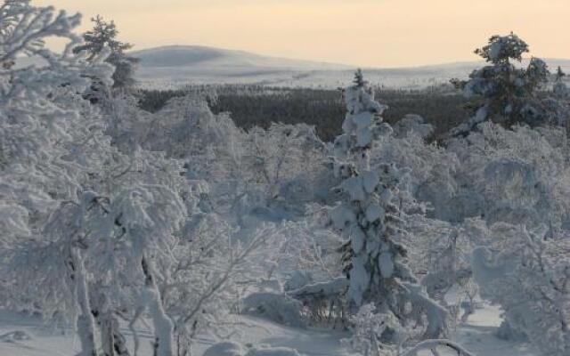 Saariselän Marjamajat