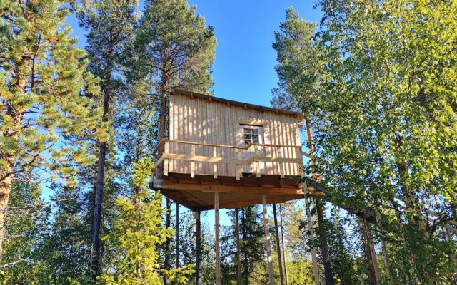 Aurora Lodge