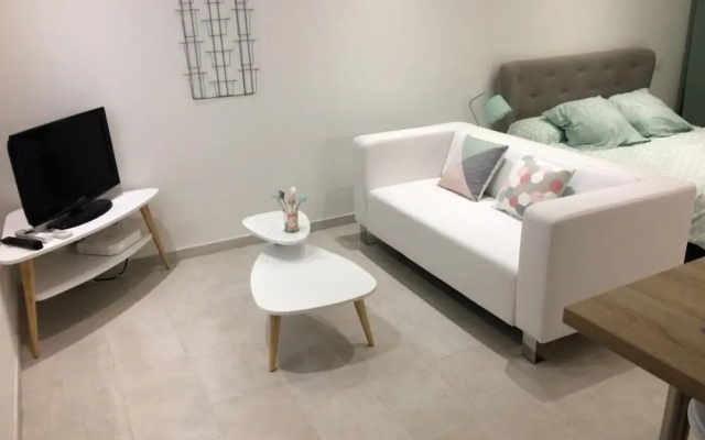 Appartements Face aux Pénitents Blancs