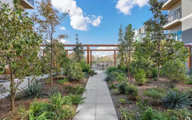 Luxury Apartments by Hyatus Boston Somerville