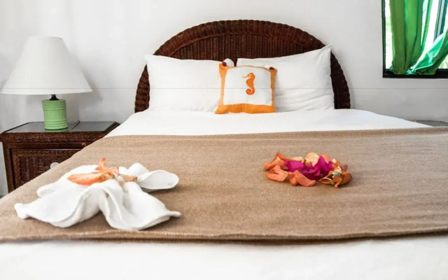 Riviera Punta Cana Eco Travelers House