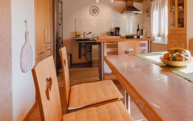 Apartment Hajenius Königsleiten
