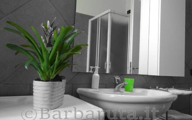 Barbaruta RTA