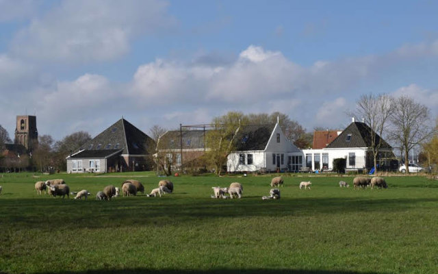 Amsterdam Farmland