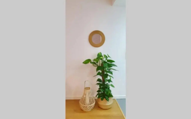 T2P Mimosa House