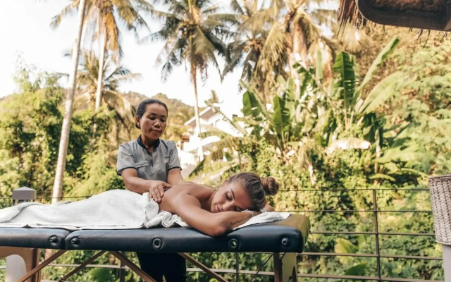 Santosa Detox & Wellness Center