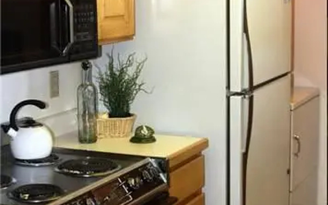 Powderwood Ski Condo