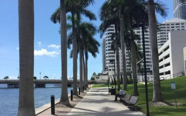 Icon Brickell - Downtown Miami