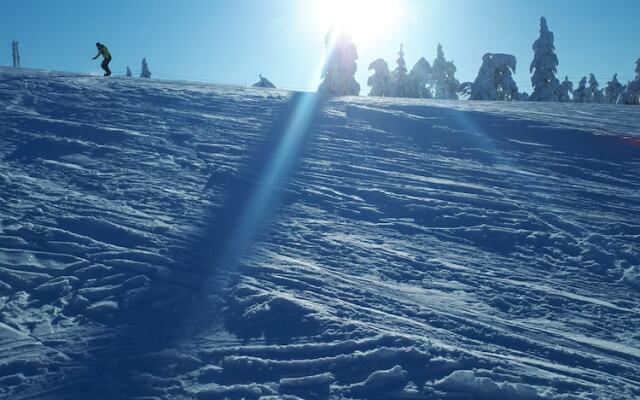 Knut's Camping och Lägenheter