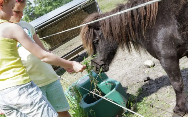 Charming Lodge in Staphorst With Pool Access