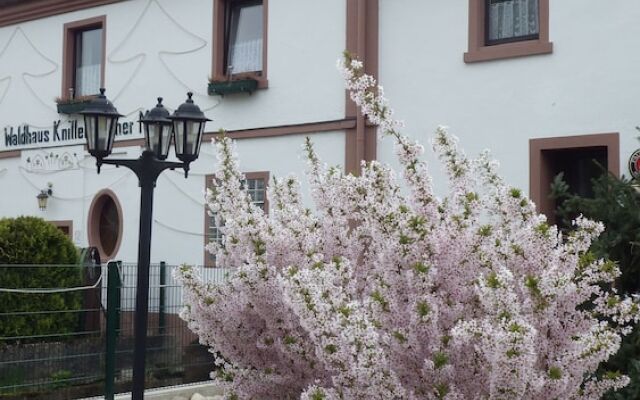 Waldhaus Knittelsheimer Mühle