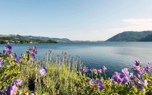 Das Traunsee