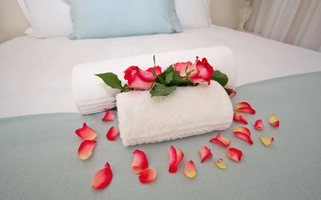 Beluga of Constantia Guest House