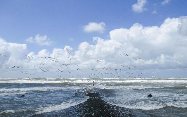 Lilly aan Zee