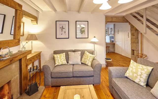 Host Stay Green Willow