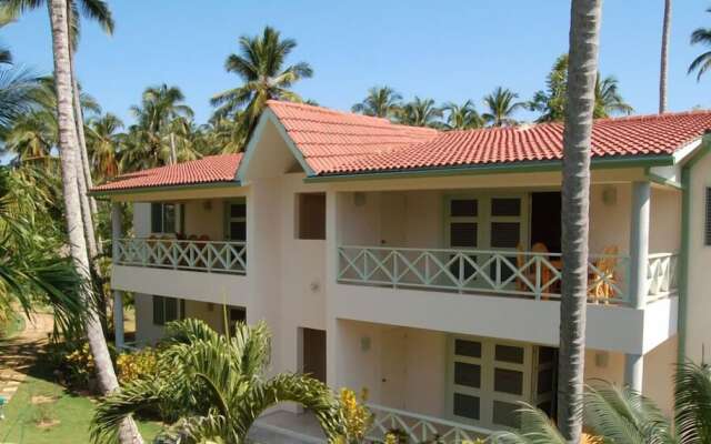 Oasis Tropical