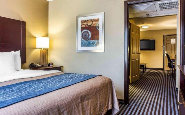 Comfort Inn & Suites Ballpark Area