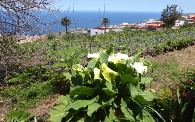 Casa Canarina