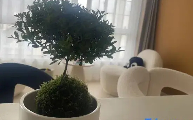 Pushang Shanju coffee & bar Guesthouse (Yucun Liangshan)