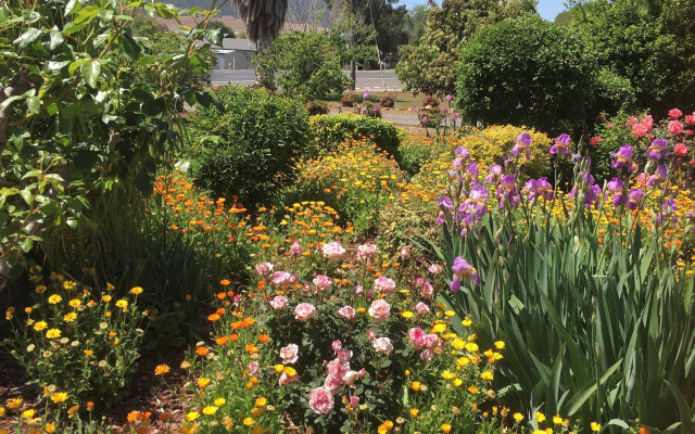 Quirindi Sunflower Motor Inn