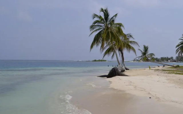 Cabañas Wailidub San Blas