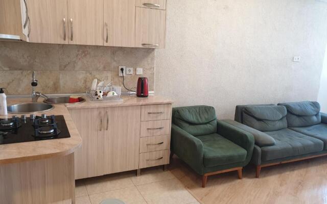 118/481 Gorgiladze Street