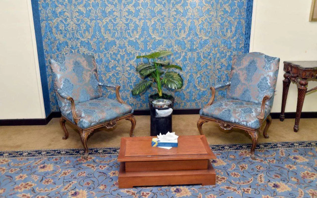 paradise home city stars