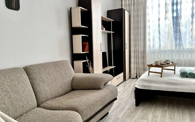Apartments on 231 Chkalova Street