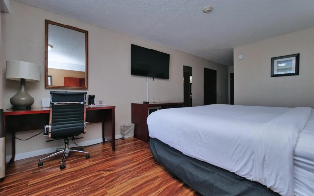 Red Lion Inn & Suites Auburn
