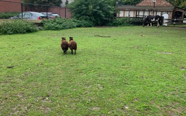 Leuk Vakantiehuisje 6P
