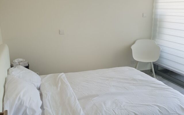 Luxury modern spacious flat in Egkomi