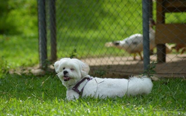 Hotel Fazenda Sete Lagos