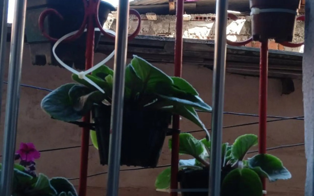 Se hospede num Cantinho Gourmet