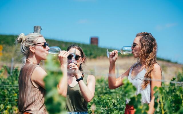 Villa Miramar at Casa Marin Vineyards