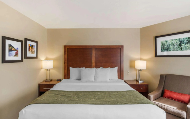 Comfort Inn University