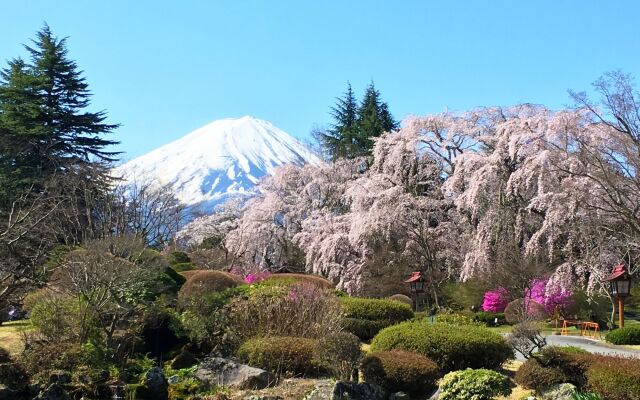 Fuji View Hotel