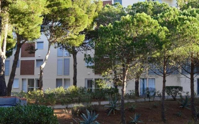 Appartement Banyuls-sur-Mer, 2 pièces, 4 personnes - FR-1-225C-21