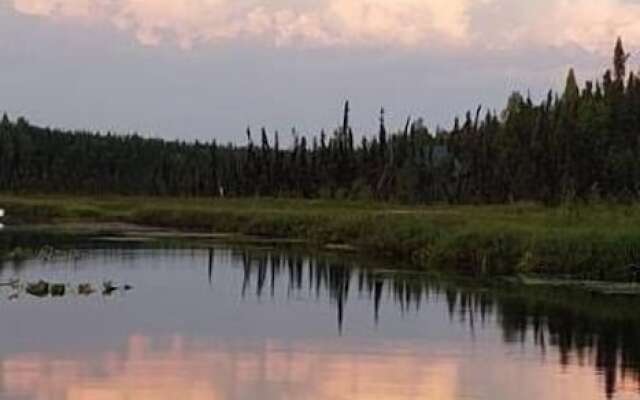 Mooseberry Cabin, Willow AK