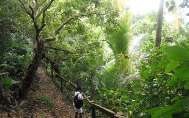 Classique International in Dominica