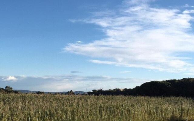 Appartement Le Lavandou, 2 pièces, 4 personnes - FR-1-308-92