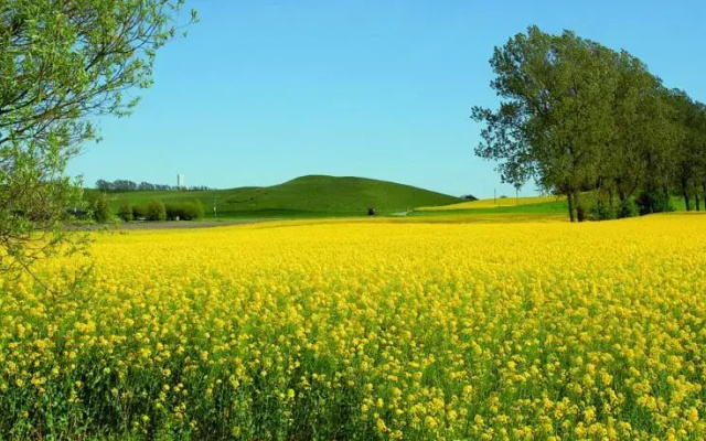 Vallebergaslätt