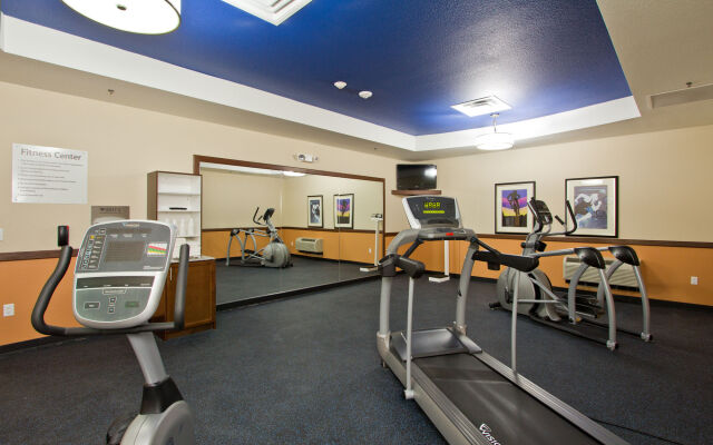 Holiday Inn Express Hotel & Suites Denver East-Peoria Street by IHG