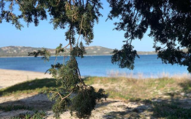 Maison Porto Vecchio - Lecci