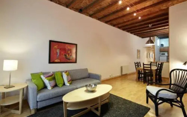 Beautiful apartment in Eixample