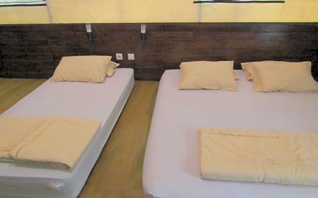 Lawu Forest Camp