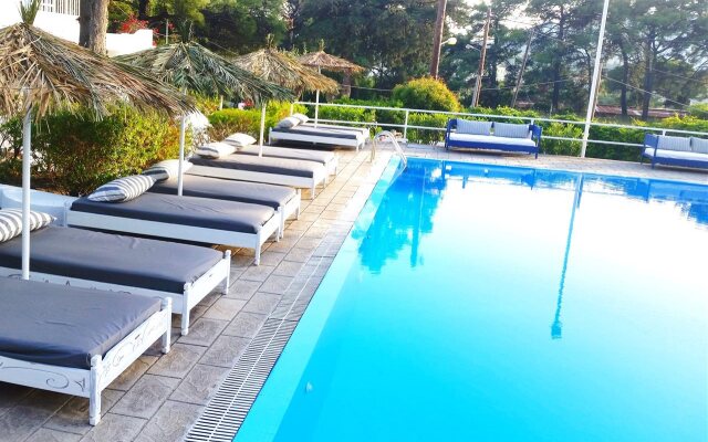 Отель Trees Art Boutique