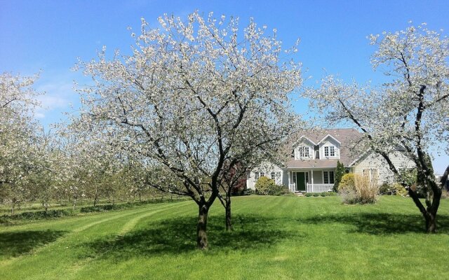 Orchard Croft Boutique Country Retreat