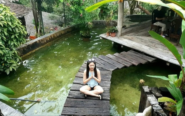 Fig Tree Hill Resort