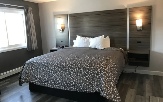 Americas Best Value Inn Clearwater