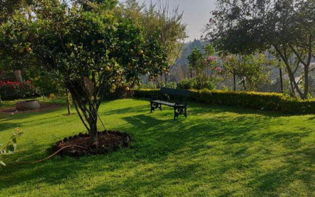 Golf Dale Holiday Resort
